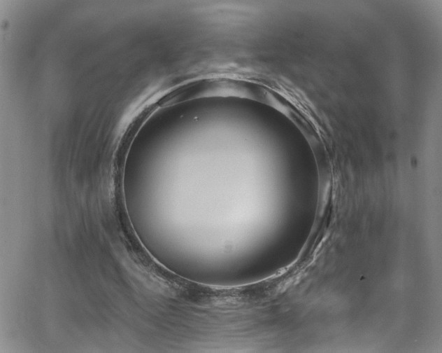 X0000063530344200601201504