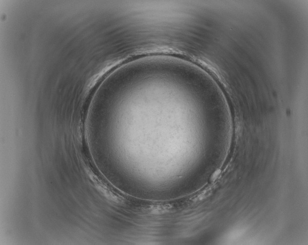 X0000063530345200601201504