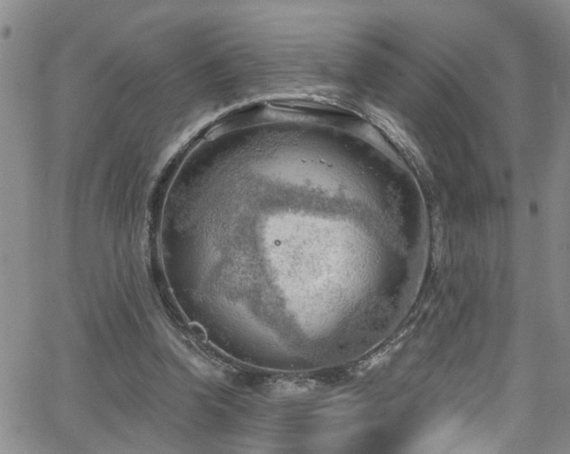 X0000063530346200601201504