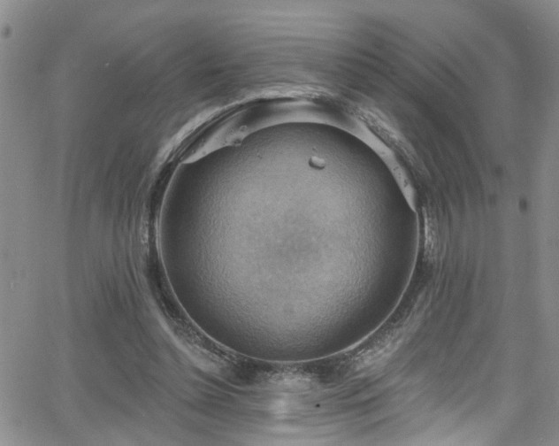 X0000063530348200601201504