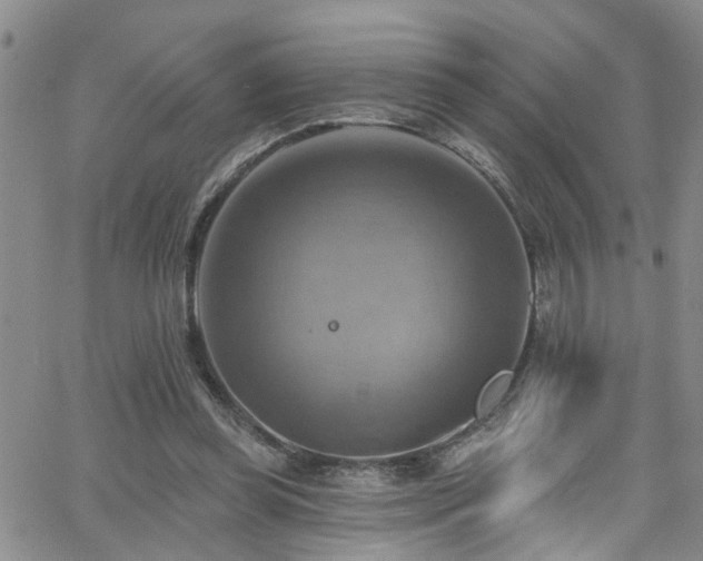 X0000063530349200601201504