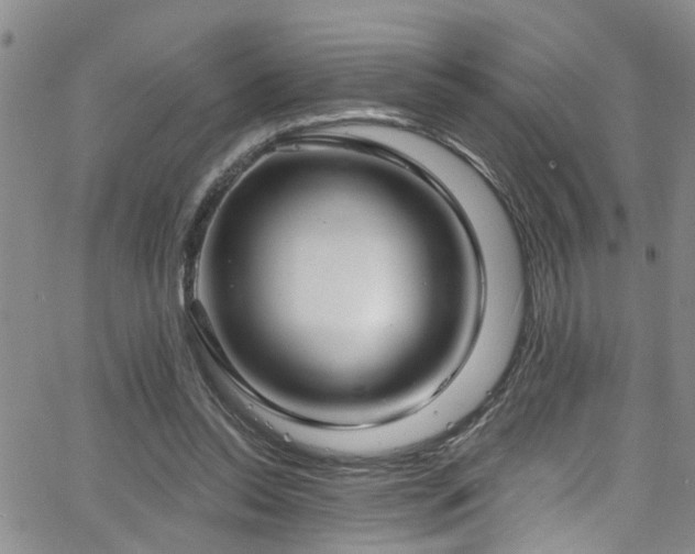 X0000063530350200601201504