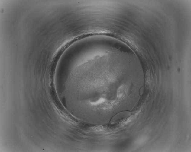 X0000063530351200601201504