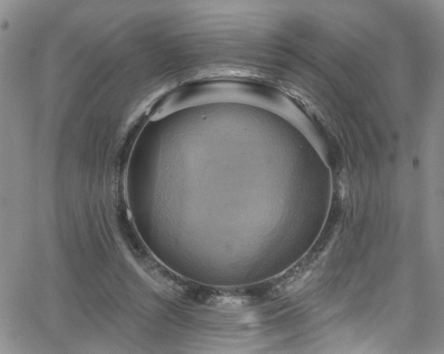 X0000063530352200601201504