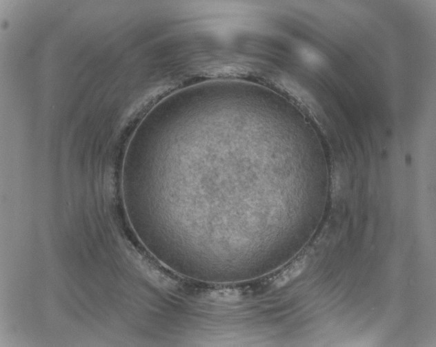 X0000063530353200601201504