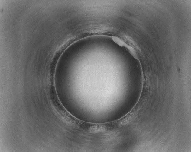 X0000063530354200601201504