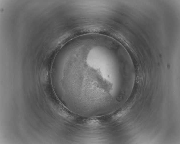 X0000063530355200601201504