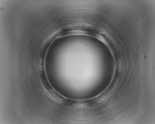 X0000063530356200601201504