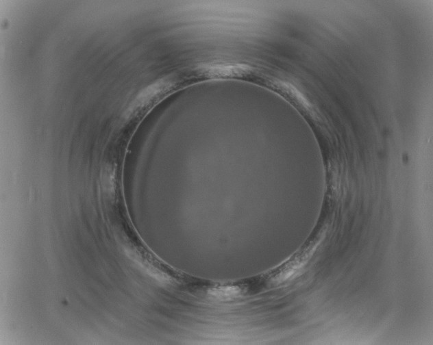 X0000063530357200601201504