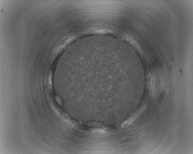 X0000063530358200601201504