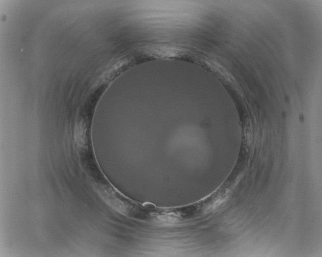 X0000063530359200601201504