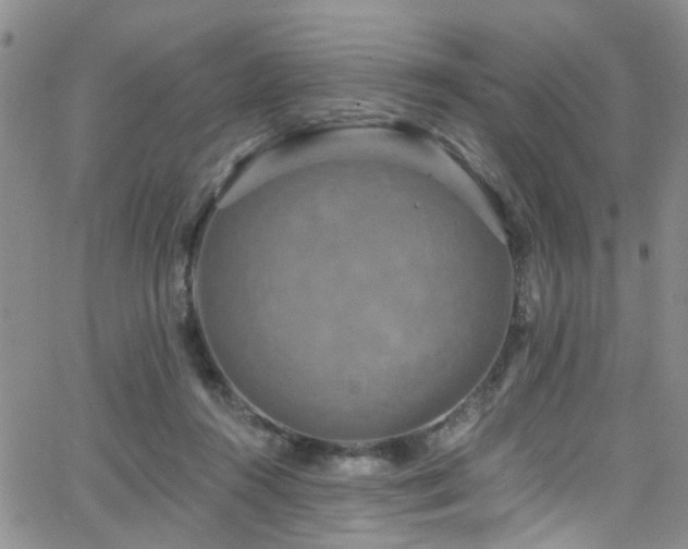 X0000063530360200601201504