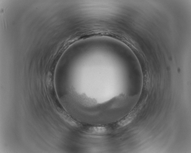 X0000063530361200601201504