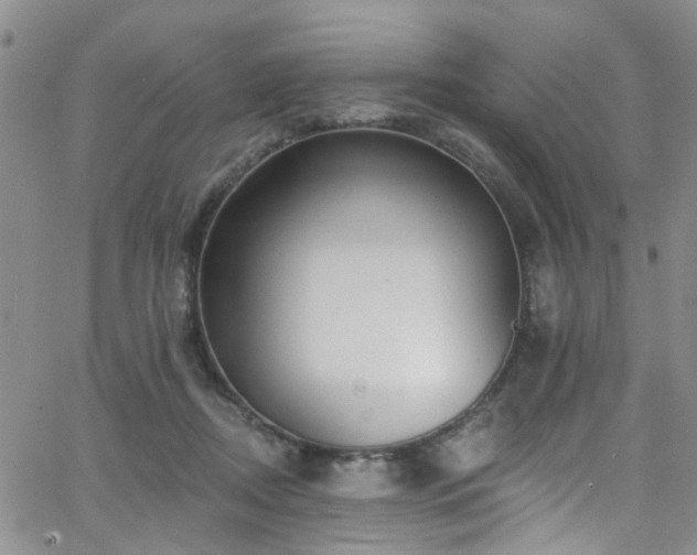 X0000063530362200601201504