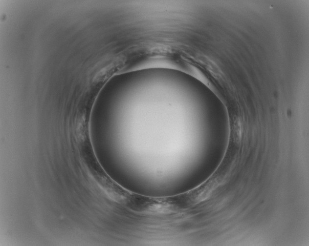 X0000063530364200601201504