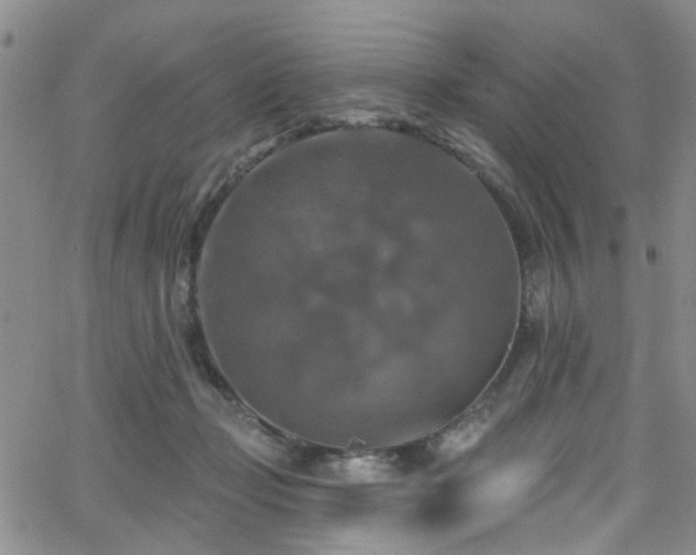 X0000063530365200601201504