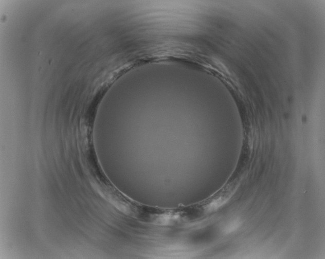 X0000063530366200601201504