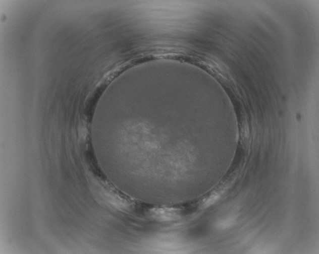 X0000063530367200601201504