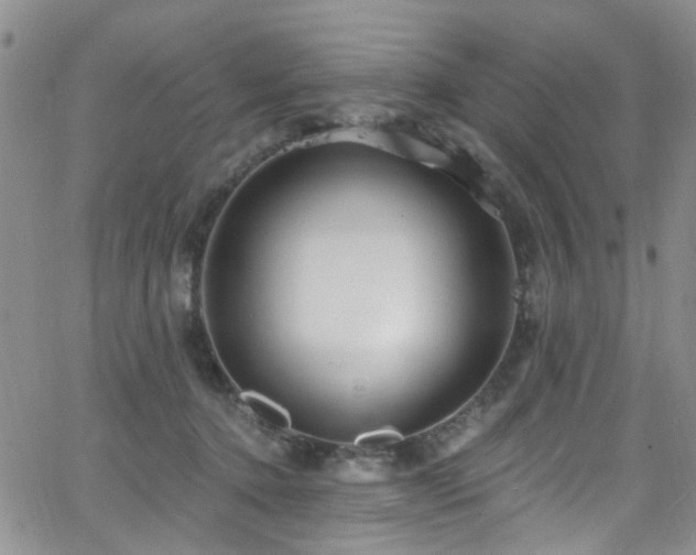 X0000063530368200601201504