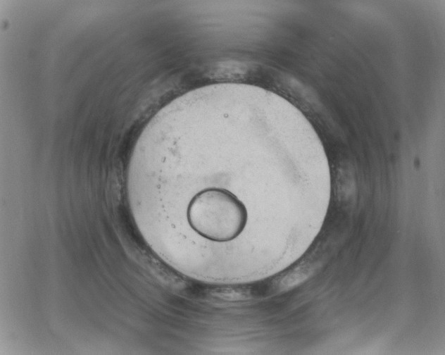 X0000063530370200601201504