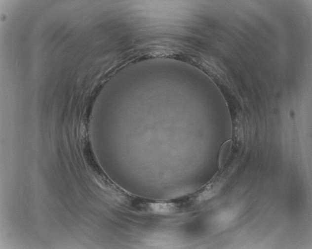 X0000063530371200601201504