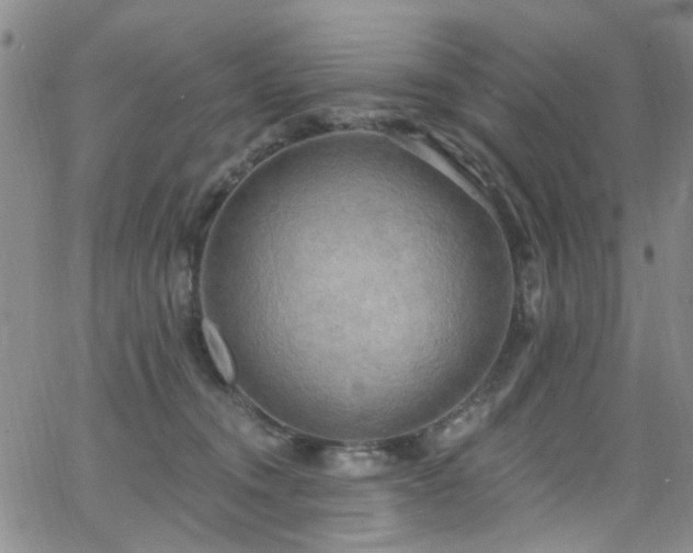 X0000063530372200601201504