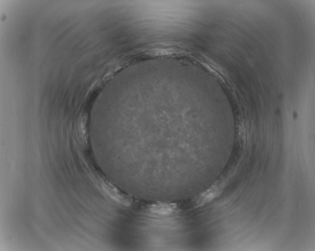 X0000063530373200601201504