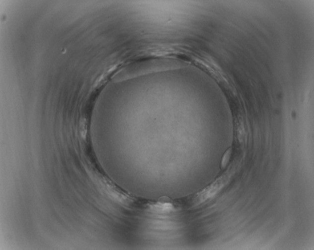 X0000063530374200601201504