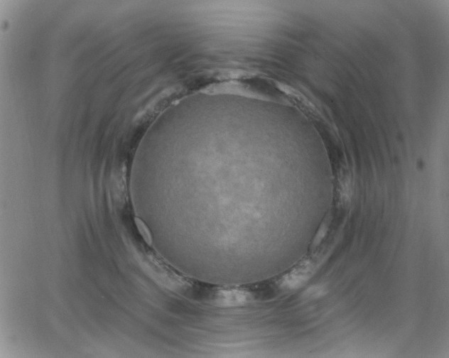 X0000063530376200601201504