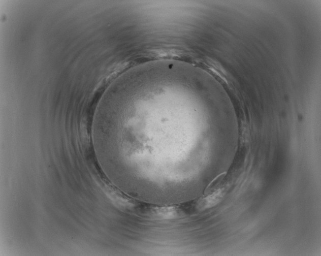 X0000063530377200601201504