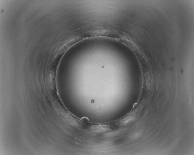 X0000063530378200601201504