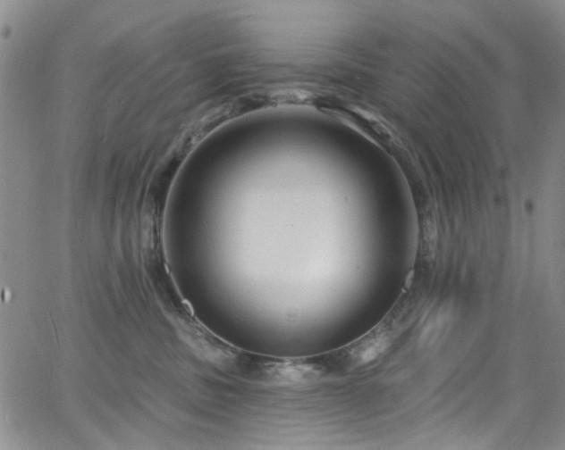 X0000063530379200601201504