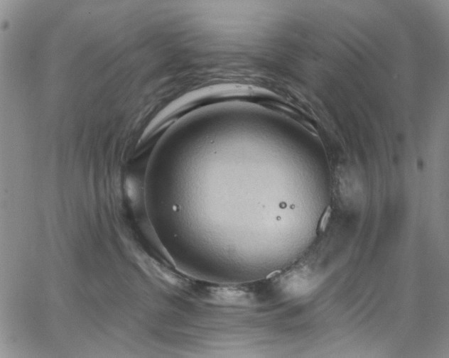 X0000063530380200601201504