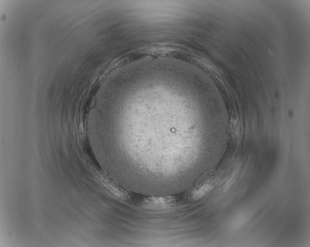 X0000063530381200601201504