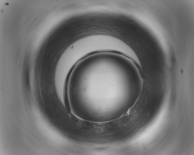 X0000063530382200601201504