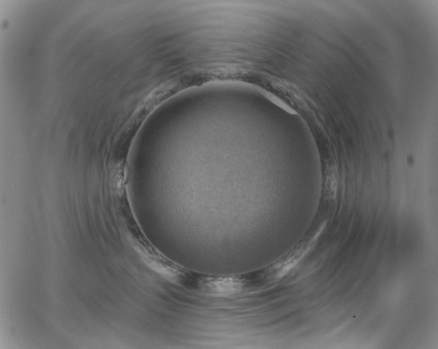 X0000063530383200601201504