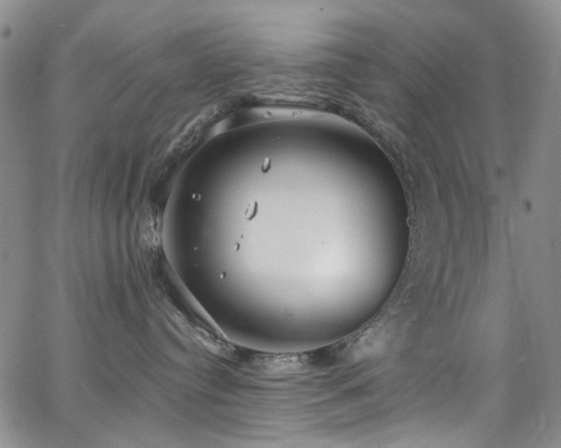 X0000063530384200601201504