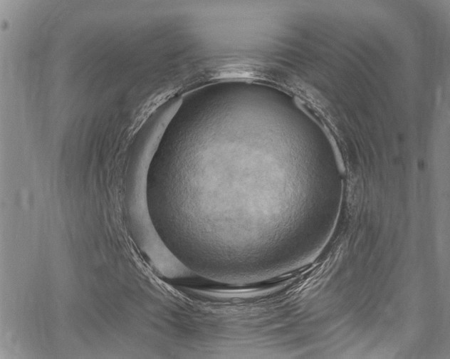 X0000063530385200601201503