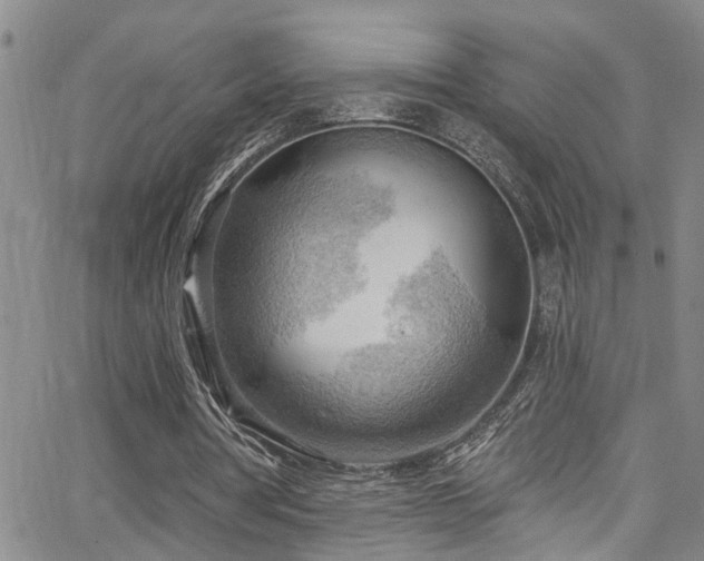 X0000063530386200601201503