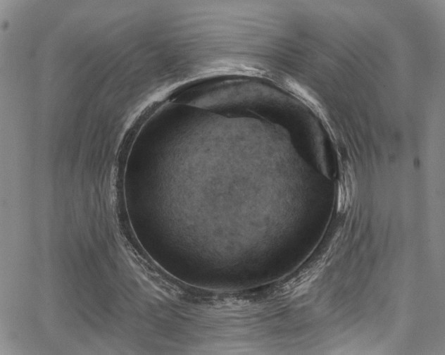 X0000063530387200601201503