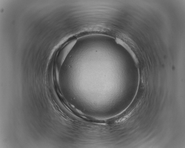 X0000063530388200601201503