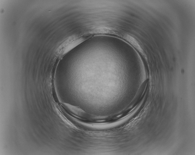 X0000063530389200601201503