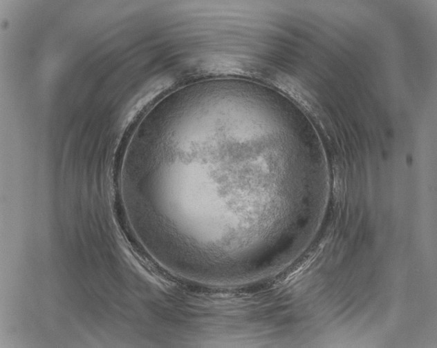 X0000063530390200601201503