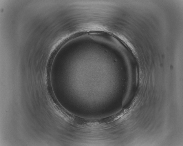 X0000063530391200601201503