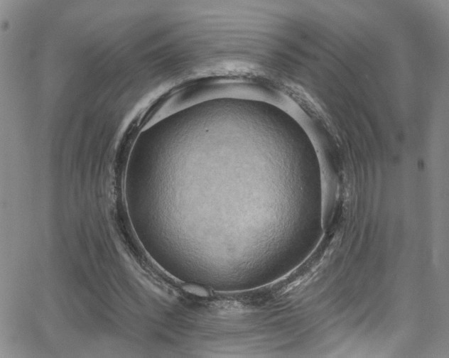 X0000063530392200601201503