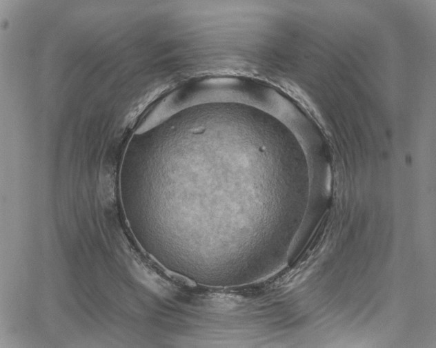 X0000063530393200601201503