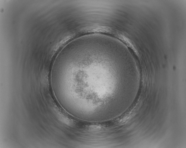 X0000063530394200601201503