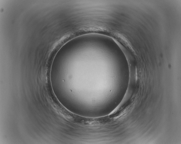 X0000063530395200601201503