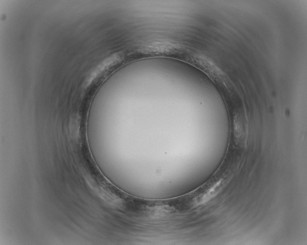 X0000063530396200601201503