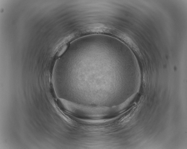 X0000063530397200601201503